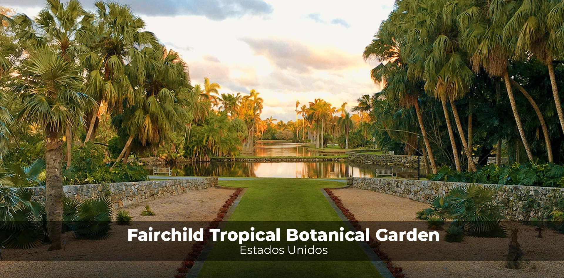 Miami-Fairchild-Tropical-Botanical-Garden